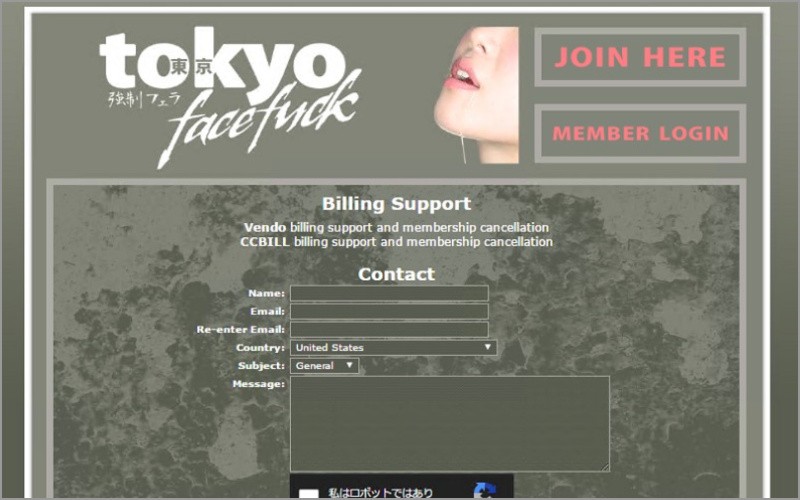 ���������t�F�� ���{�� �މ���@